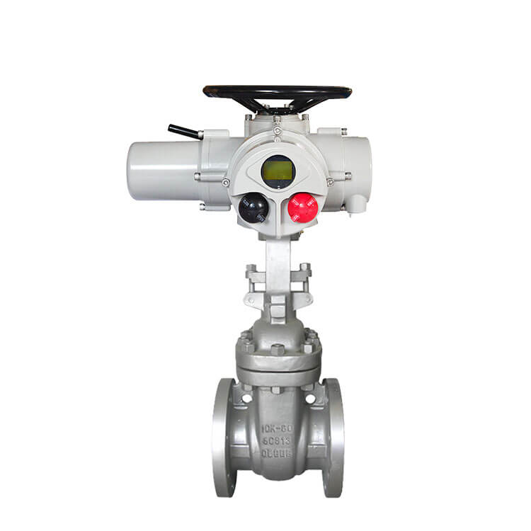 electric gate valve-2_2